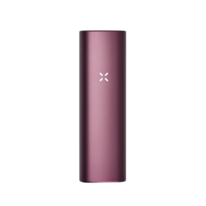 Pax Plus in rose color with kit and mouthpieces